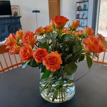 Ξενοδοχείο με διαμερίσματα U Castellu, L' Particulier Propriano (Corsica)