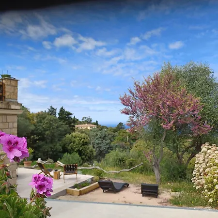 U Castellu D'hôtes&location Et Vue