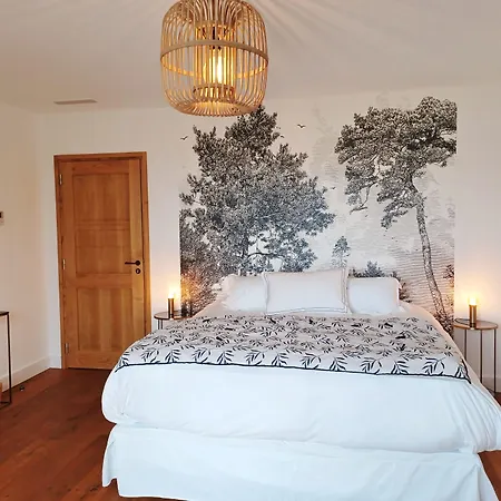 Aparthotel U Castellu, L' Particulier 4*