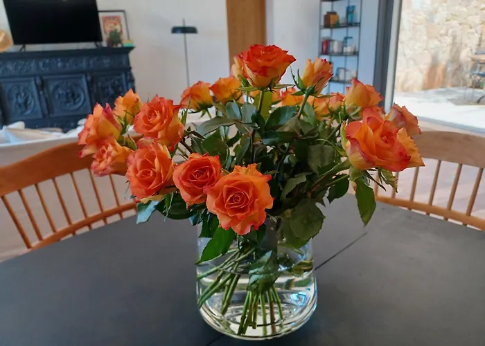 Aparthotel U Castellu, L' Particulier Propriano (Corsica)